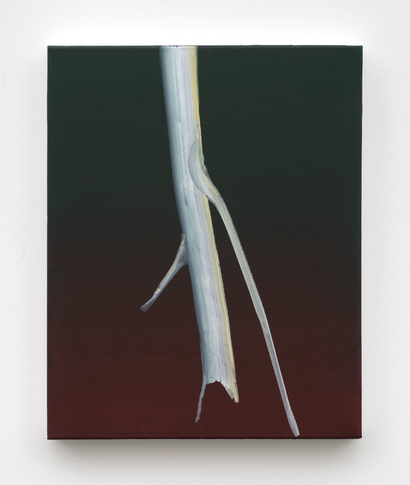 Ghost Tree - Deep Green, Burnt Sienna, 2023

acrylic on canvas

20 x 16 in (50.8 x 40.6 cm)