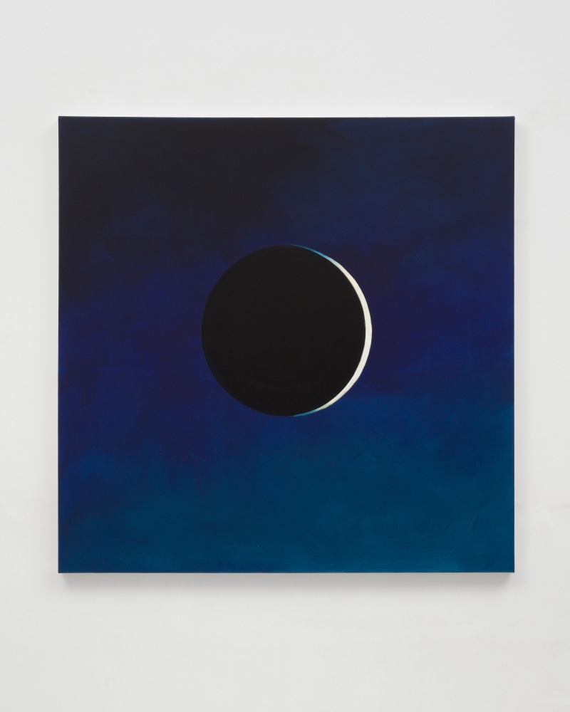 Wanda Koop

Moon Walk #4, 2024

acrylic on canvas

48 x 48 in (121.9 x 121.9 cm)