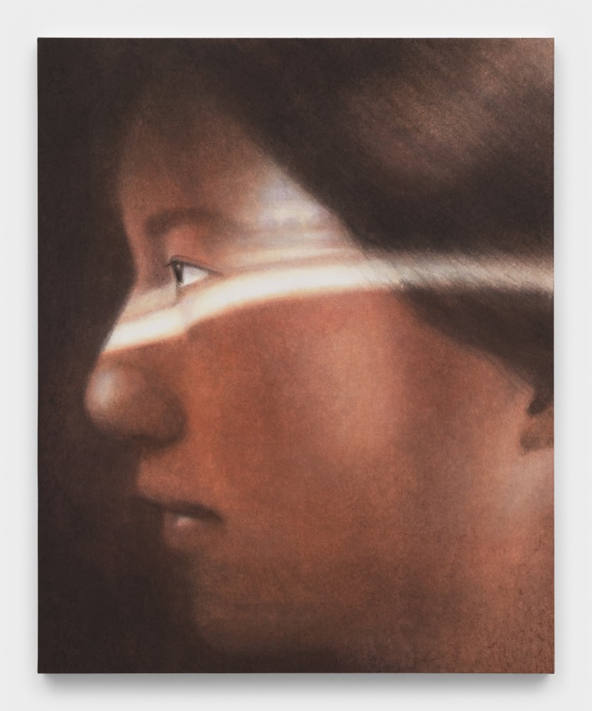 A painting of a woman looking into the distance with a white beam of light shining across her face.