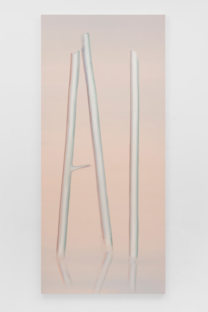 Wanda Koop

Ghost Tree AI - Soft Pink, 2024

acrylic on canvas

108 x 48 in (274.3 x 121.9 cm)