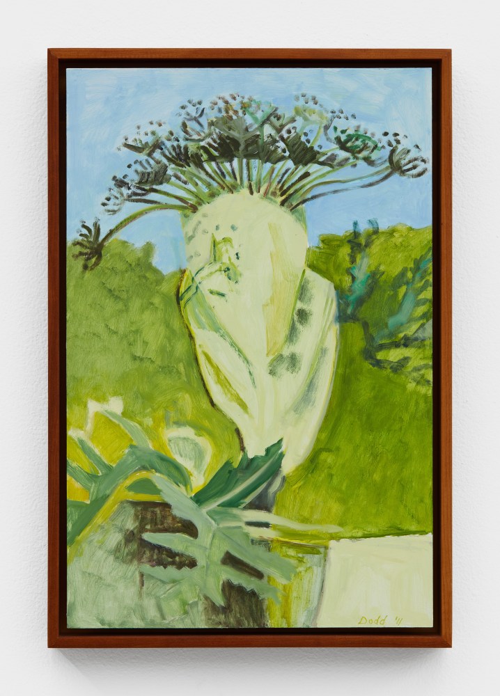 Lois Dodd, Cow Parsnip in Bud, 2011