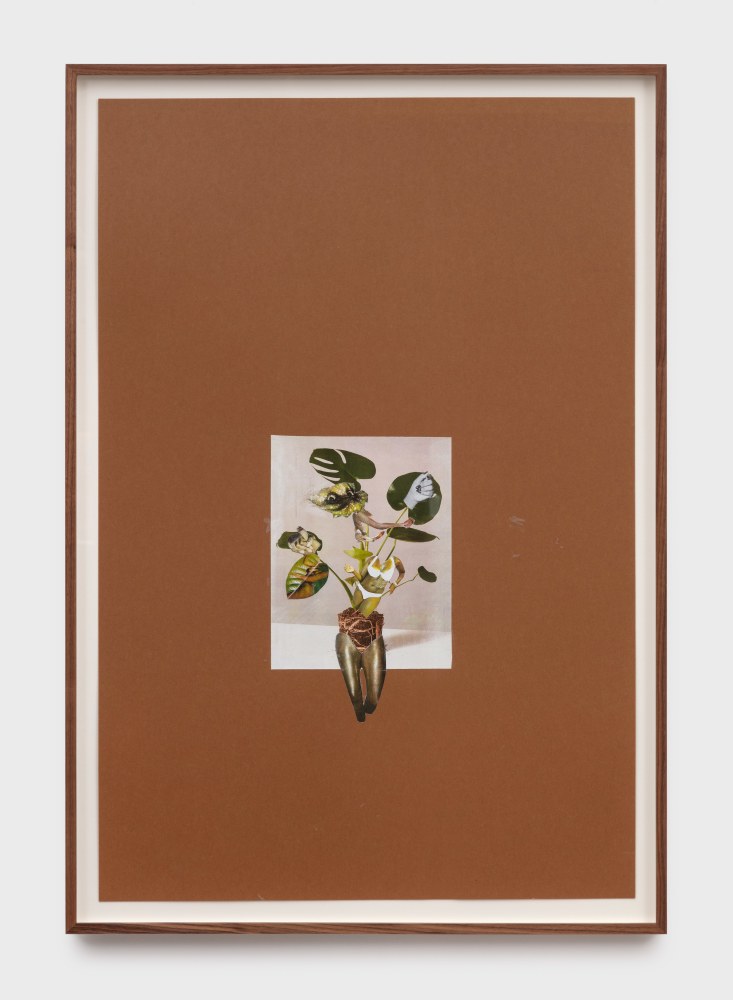 Kandis&amp;nbsp;Williams
Transpositions, Sketch, Swiss Monstera Candombe potted roots, 2020
collage on paper
36 x 24 in (91.4 x 61 cm)
KW180
&amp;nbsp;