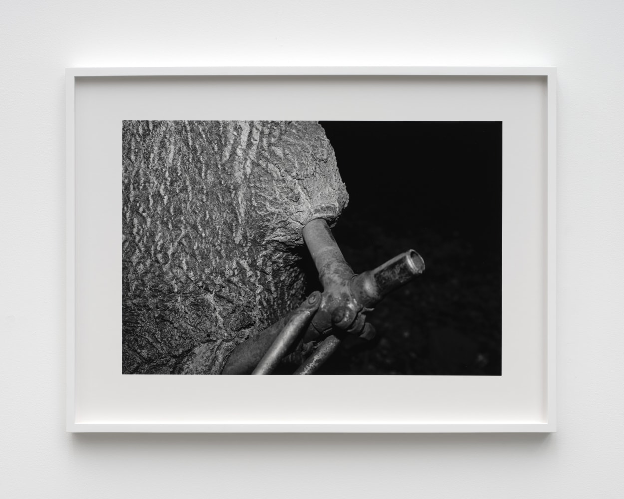 August 17, 2021, 2022

silver gelatin print

20 1/2 x 27 1/2 x 1 1/2 in

(52.1 x 72.4 x 3.8 cm)