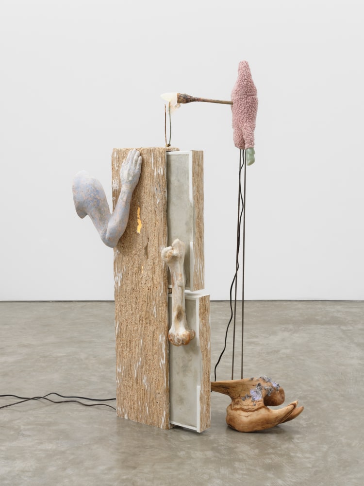 Lucretia’s Apostrophe, 2022 found drawers, cement, steel, horse femur, polyester fleece, walnut, light, found fabric, carved soapstone, carved maple, papier mache, beeswax, acrylic, copper 61 1/2 x 32 x 24 in (156.2 x 81.3 x 61 cm)
