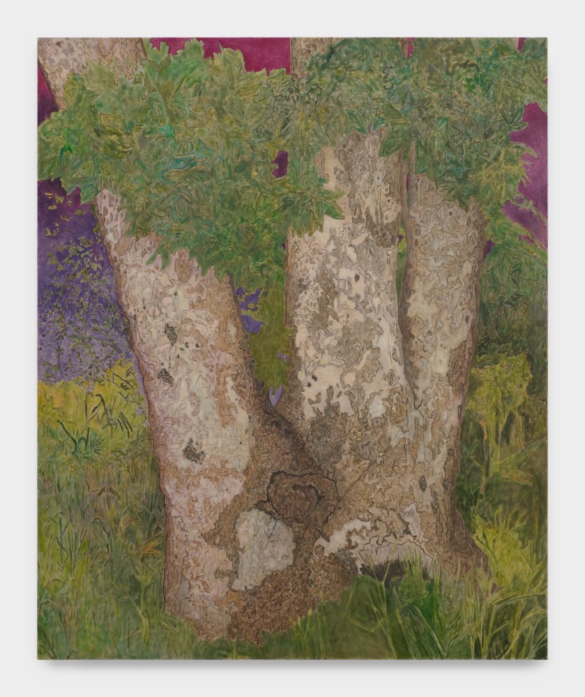 Sycamore Trees, 2022 oil on linen 100 x 82 in (254 x 208.3 cm)