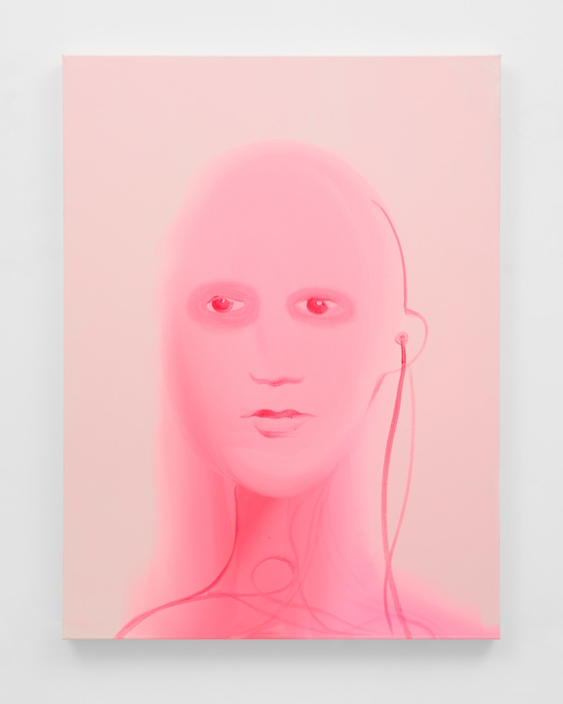 Wanda Koop

Createher Pink, 2024

acrylic on canvas

48 x 36 in (121.9 x 91.4 cm)