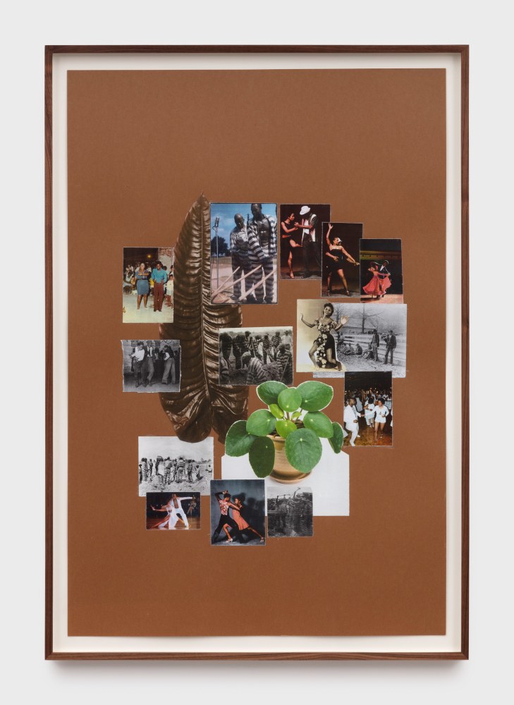 Kandis&amp;nbsp;Williams
Transpositions, Sketch, Giant Tea Leaf and Money Plant, 2020
collage on paper
36 x 24 in (91.4 x 61 cm)
KW181
&amp;nbsp;