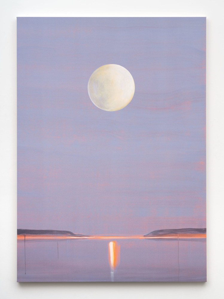 Who Owns the Moon (Mauve), 2023

acrylic on canvas

84 x 60 in (213.4 x 152.4 cm)