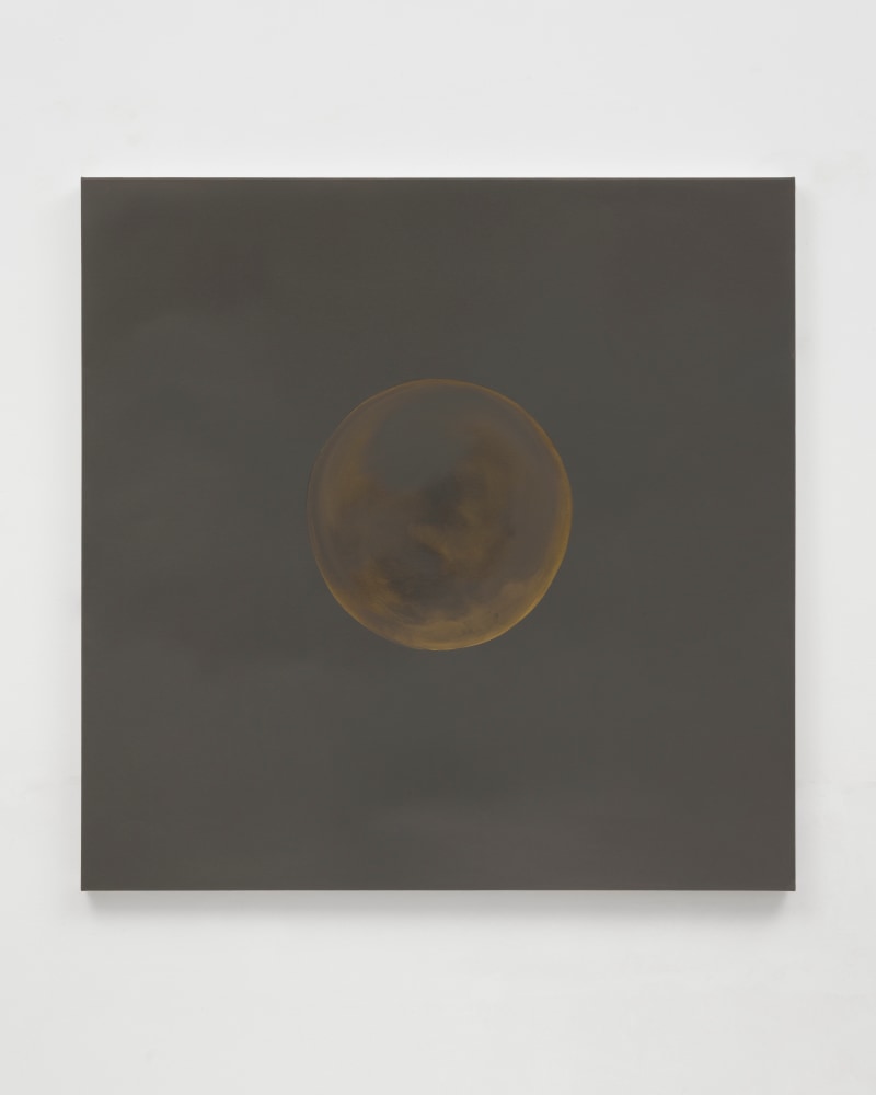 Wanda Koop

Moon Walk #9, 2024

acrylic on canvas

48 x 48 in (121.9 x 121.9 cm)