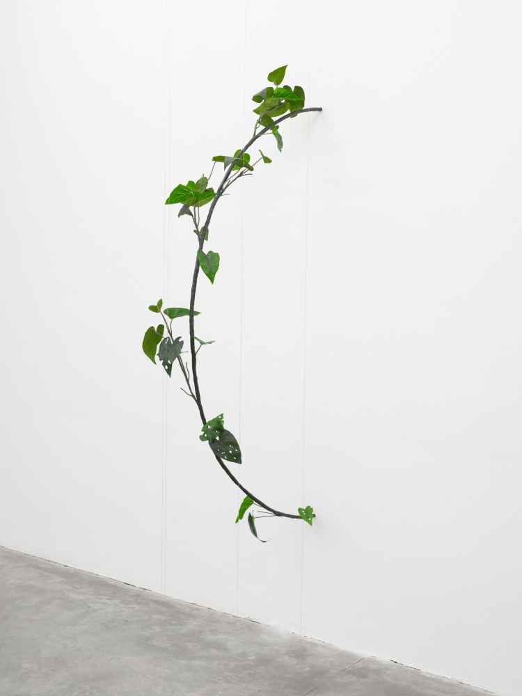 Tania P&amp;eacute;rez C&amp;oacute;rdova (b. 1979)
Philodendron Hederaceum (30% chance of rain),&amp;nbsp;2022
Iron, epoxy clay, plastic, acrylic, gold plated brass chain, patterns of leaf damage
11 3/4 x 76 3/4 x 30 inches
30 x 195 x 76 cm