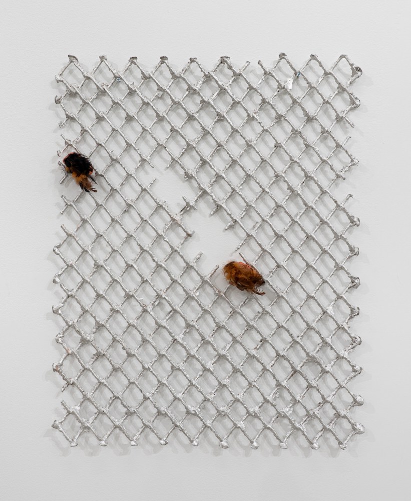 Tania P&amp;eacute;rez C&amp;oacute;rdova (b. 1979)
Una reja en una reja 5 / A fence into a fence 5, 2022
Aluminum, bird feathers for crafts and clay
39 3/8 x 30 23/32 x 1 31/32 inches
100 x 78 x 5 cm
