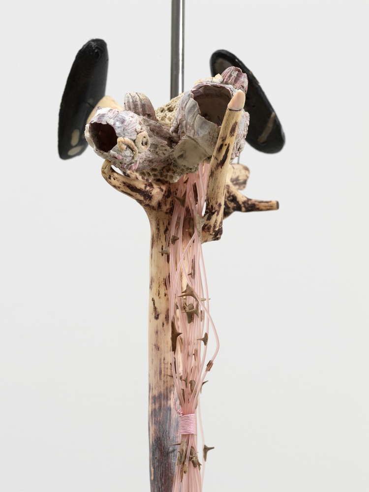 Minouk Lim (b. 1968)

Lonesome Viewer, 2022

Wood cane, cuttlebone, barnacle shell, kalopanax thorn, latex cord, metal plate

75 1/2 x 11 1/2 x 6 inches

191.8 x 29.2 x 15.2 cm