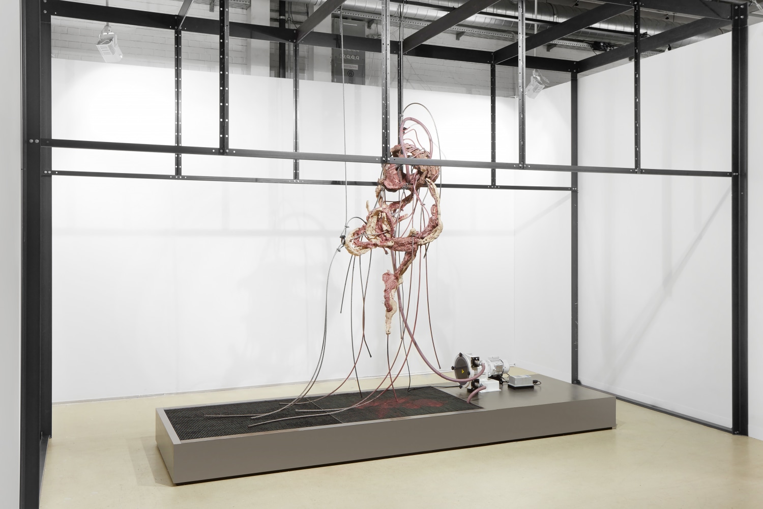 Mire Lee,&amp;nbsp;Endless House: Harlequin Baby, 2022. Installation view of Art Basel Statements (Booth M3), Switzerland. Courtesy of the artist and&amp;nbsp;Tina&amp;nbsp;Kim&amp;nbsp;Gallery. Photo: Sebastiano&amp;nbsp;Pellion Di Persano