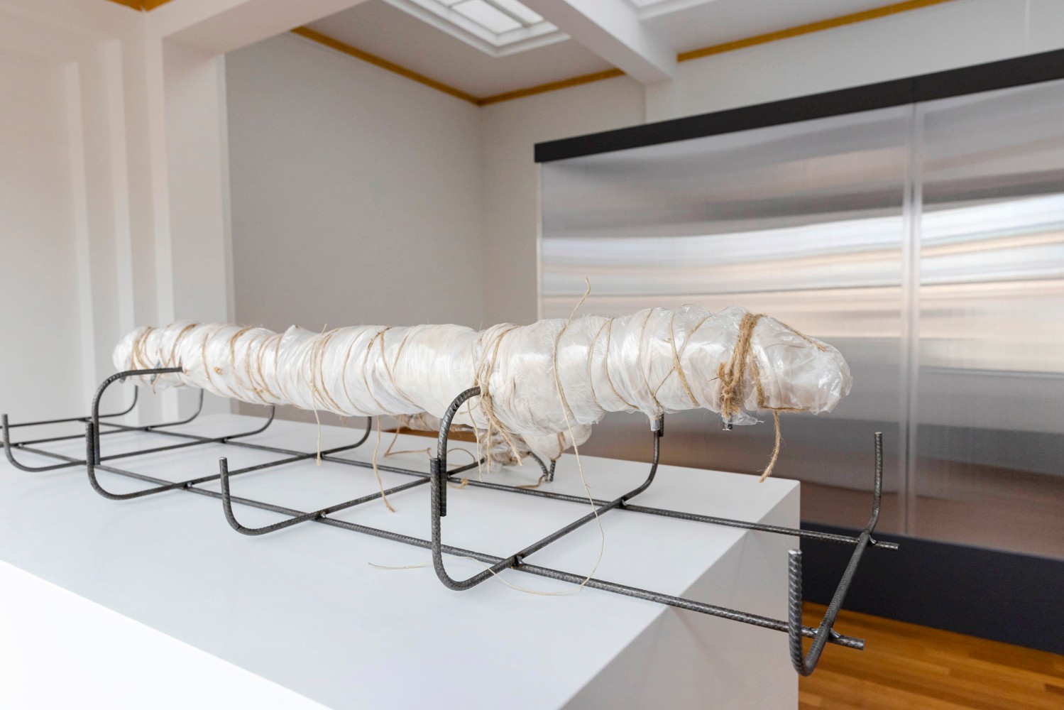 Installation view of Mire Lee, As we lay dying, 2022. Image courtesy of the artist and Kunstmuseum Den Haag.
