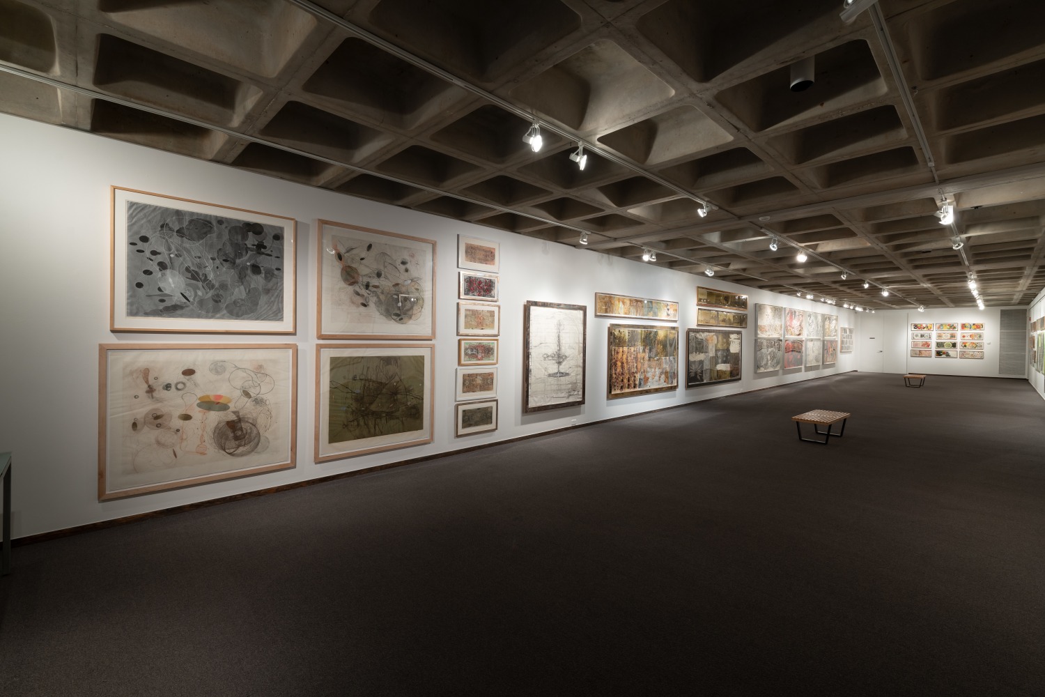 Installation view of&amp;nbsp;Freehand: Drawings and Prints by Judy Pfaff&amp;nbsp;at the Anderson Gallery, Drake University