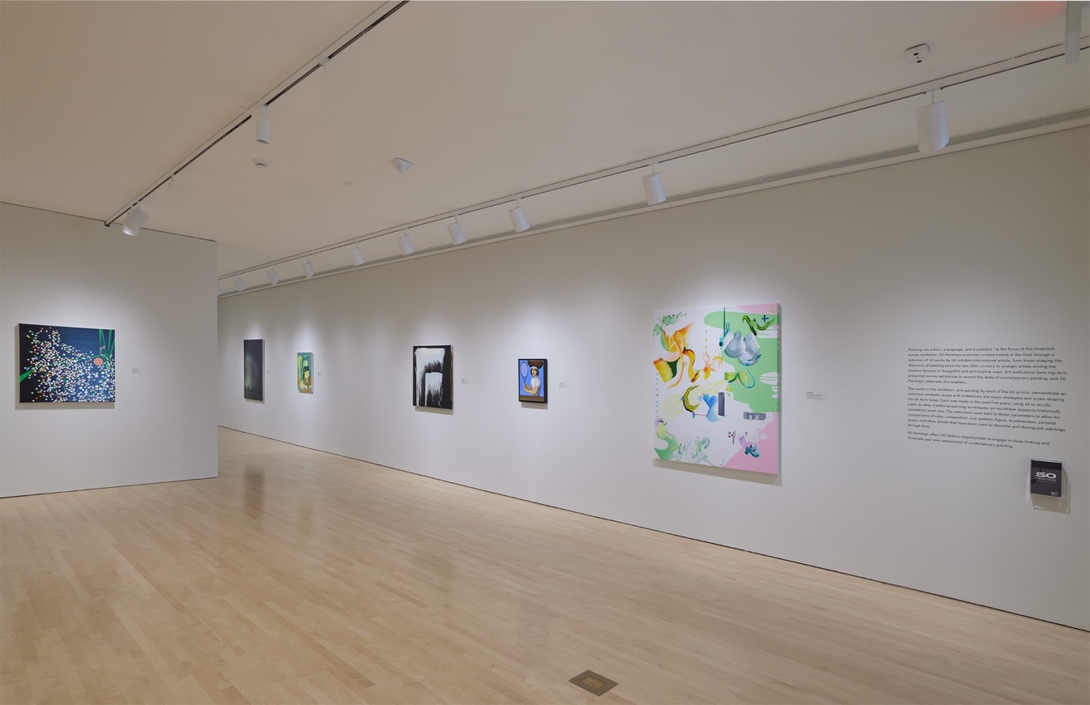 Installation view: 50 Paintings, Milwaukee Art Museum, Milwaukee, WI, 2023-24. Courtesy of the Milwaukee Art Museum.
Photo: Cleber Bonato.