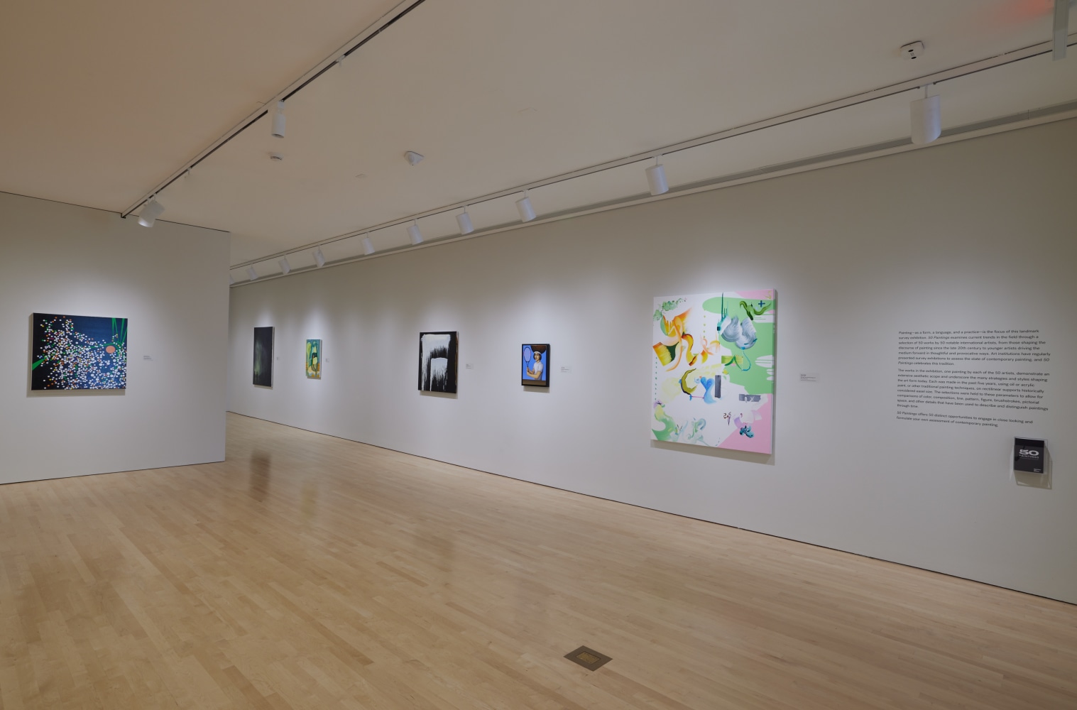 Installation view of 50 Paintings, Milwaukee Art Museum, 2023-2024.
Photography: Cleber Bonato.