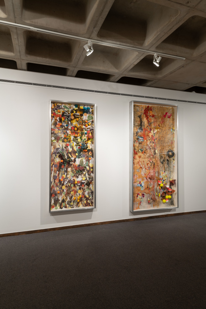 Installation view of&amp;nbsp;Freehand: Drawings and Prints by Judy Pfaff&amp;nbsp;at the Anderson Gallery, Drake University