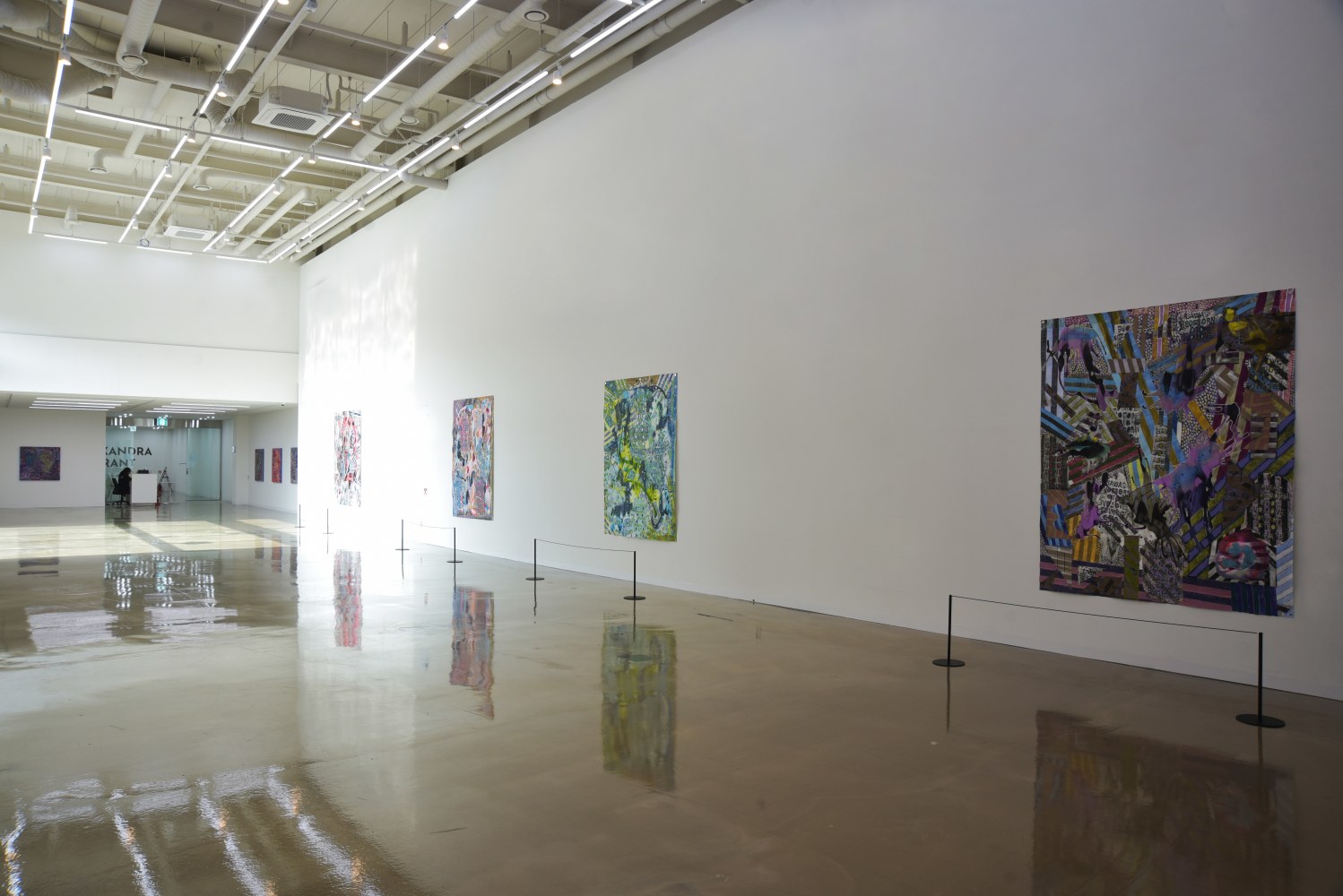 Alexandra Grant | Positive Art Center