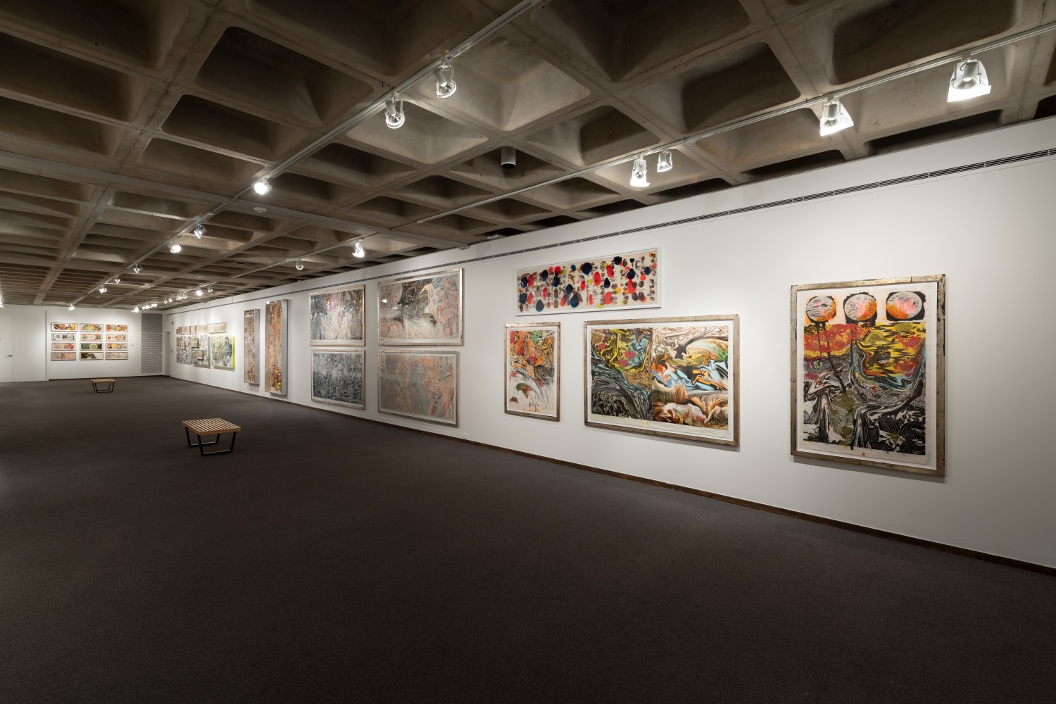 Installation view of&amp;nbsp;Freehand: Drawings and Prints by Judy Pfaff&amp;nbsp;at the Anderson Gallery, Drake University