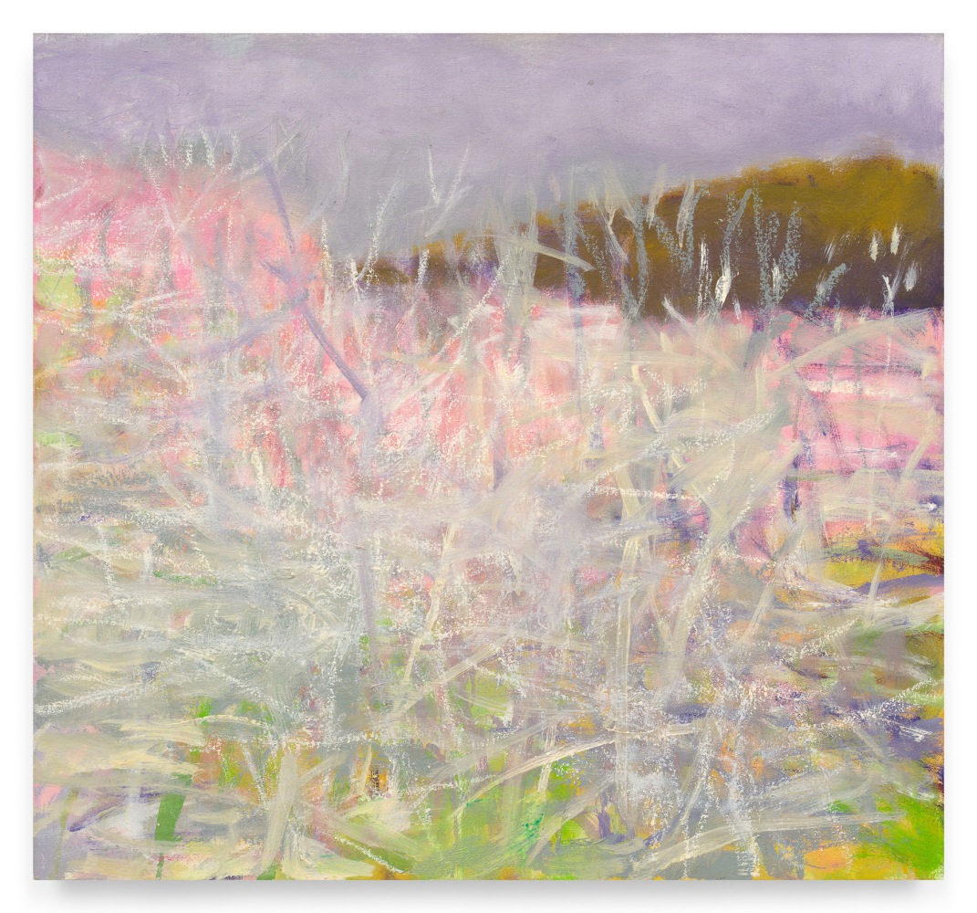 Dark Hill in the Distance, 2005, Oil on canvas, 22 x 24 inches, 55.9 x 61 cm, MMG#35546