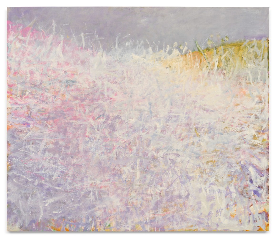 Tangle with a Pink Tinge, 2006, Oil on canvas, 36 x 42 inches, 91.4 x 106.7 cm,&amp;nbsp;MMG#14558