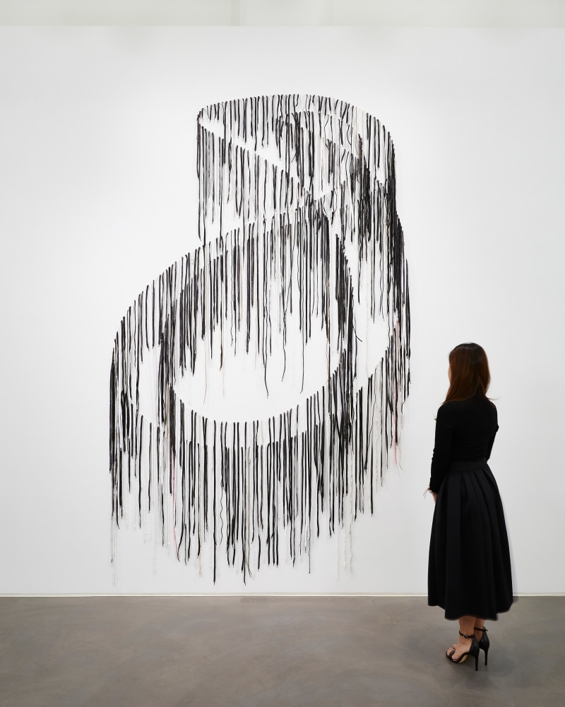 NARI WARD

Knot Endings, 2010

Shoelaces

126 x 78 inches

320 x 198.1 cm

Unique