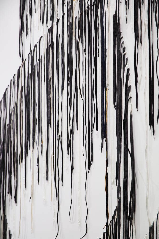 NARI WARD

Knot Endings, 2010 (detail)

Shoelaces

126 x 78 inches

320 x 198.1 cm

Unique