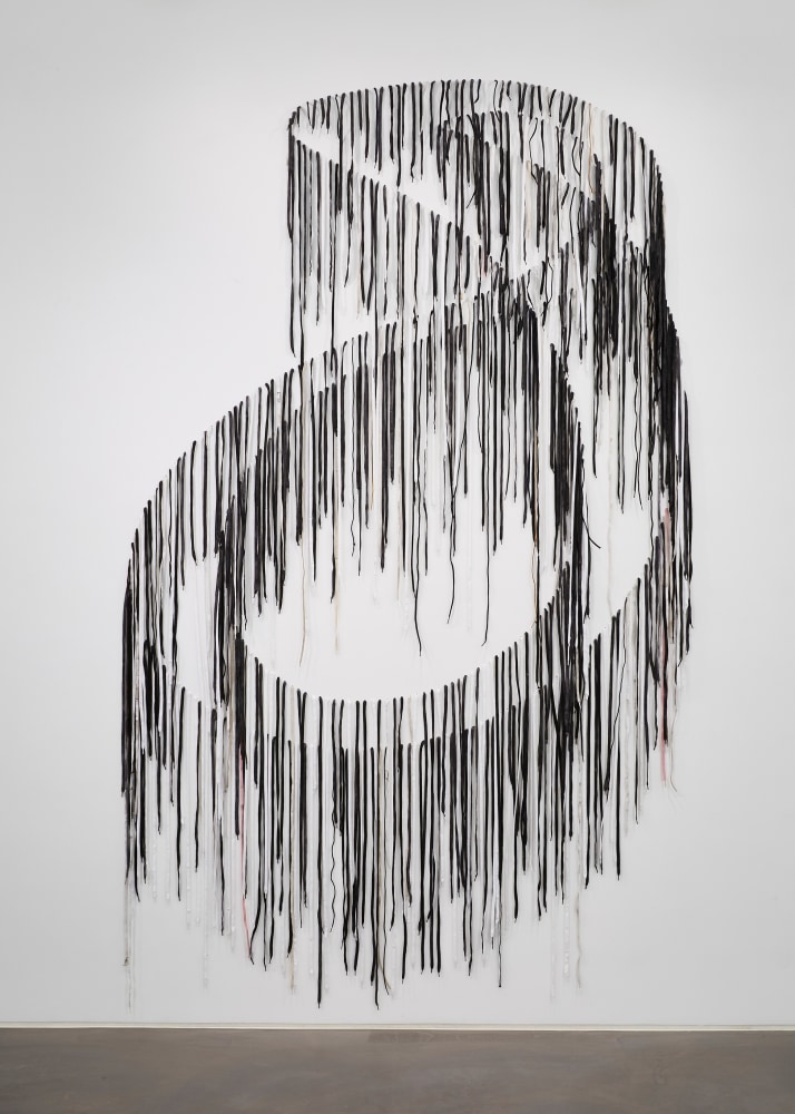NARI WARD

Knot Endings, 2010

Shoelaces

126 x 78 inches

320 x 198.1 cm

Unique