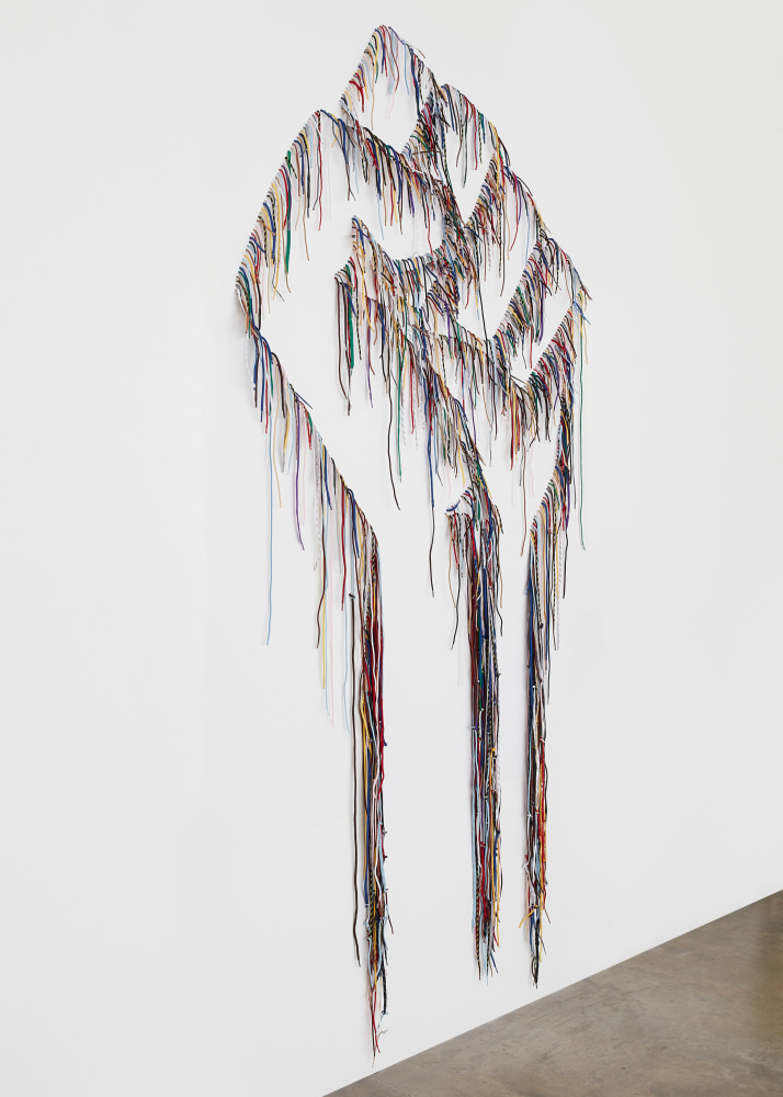 NARI WARD

Power Wall - Power People, 2019

Shoelaces

120 x 60 x 2.5 inches

304.8 x 152.4 x 6.4 cm

Unique