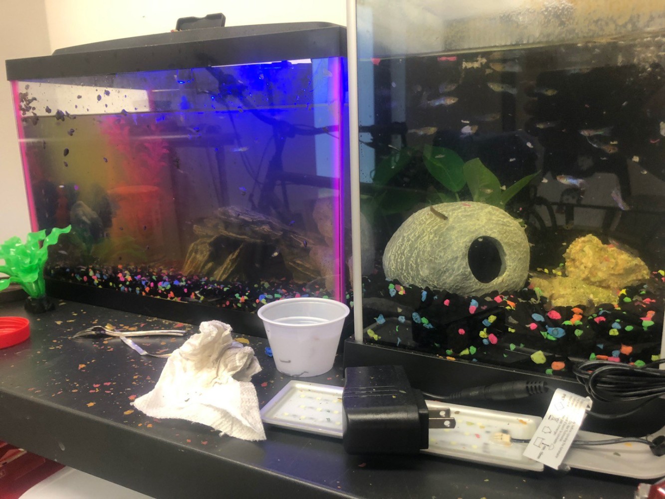 Reference material for&amp;nbsp;The GloFish Enthusiast