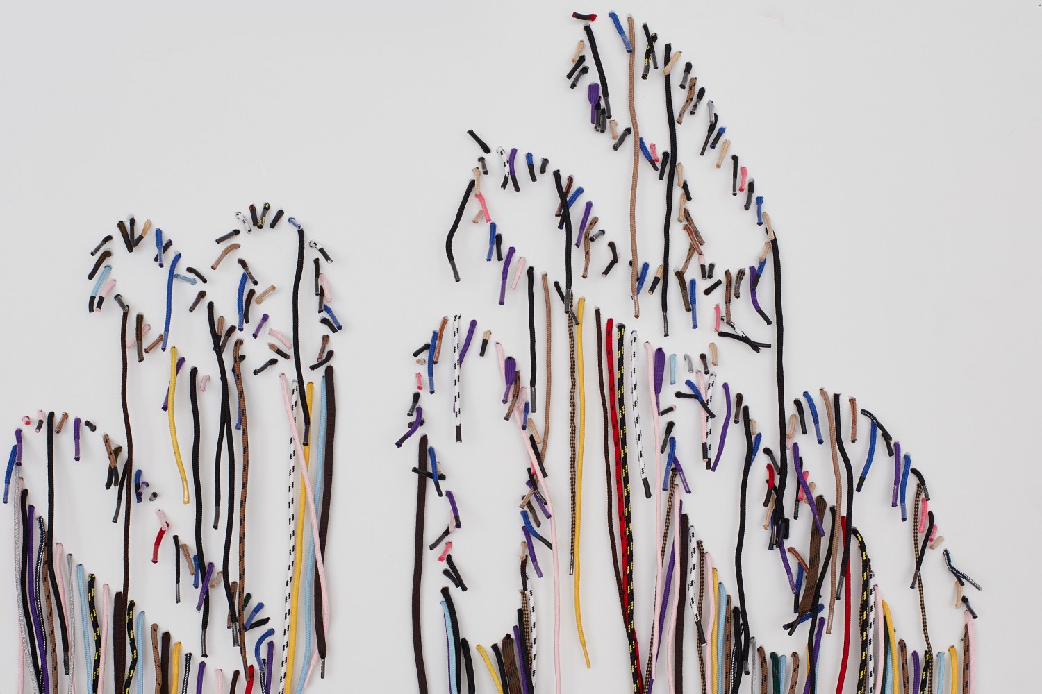 NARI WARD

Sole Revel, 2020 (detail)

Shoelaces

39 x 65 x 1.5 inches

99.1 x 165.1 x 3.8 cm

Unique