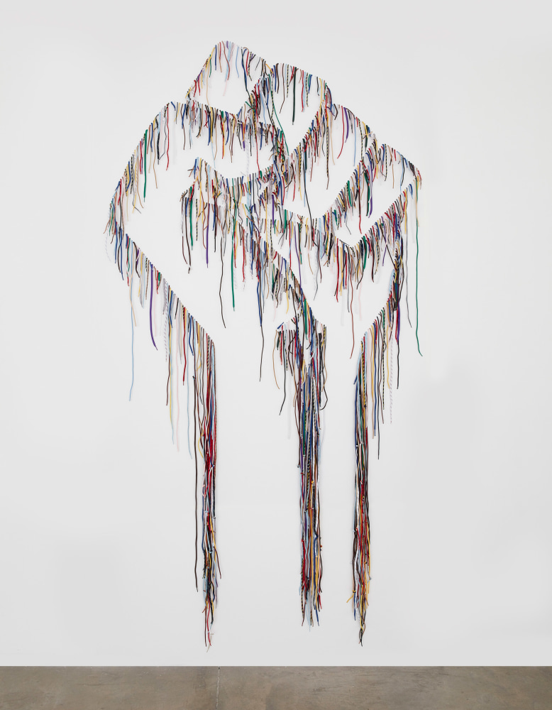 NARI WARD

Power Wall - Power People, 2019

Shoelaces

120 x 60 x 2.5 inches

304.8 x 152.4 x 6.4 cm

Unique