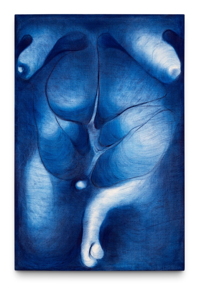 Salmo Suyo

Series: Disforia, 2021

Painting, cyan pigment

172 x 114 cm
67 3/4 x 45 in

Unique