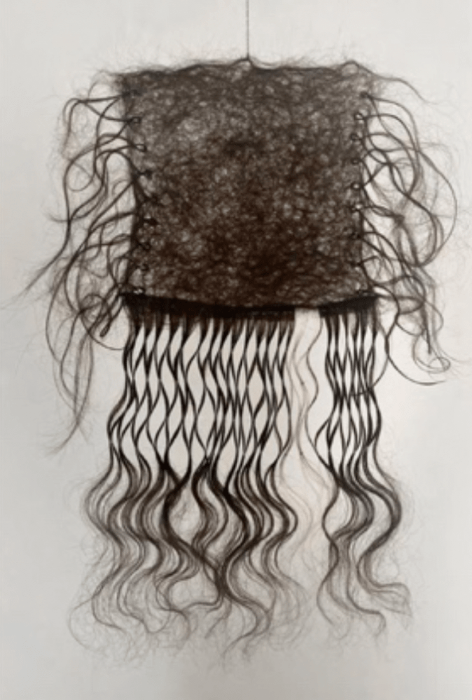 Guillermina Baiguera

Alimania

Felt, human hair embroidered curtain, and chain

50 x 35 cm
19 3/4 x 13 3/4 in