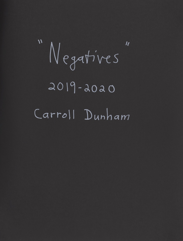 Carroll Dunham, Negatives