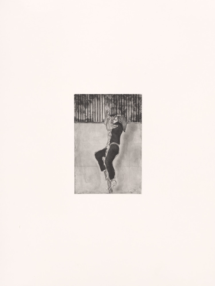 Peter Doig, Boy on Rope (AKD), 2025