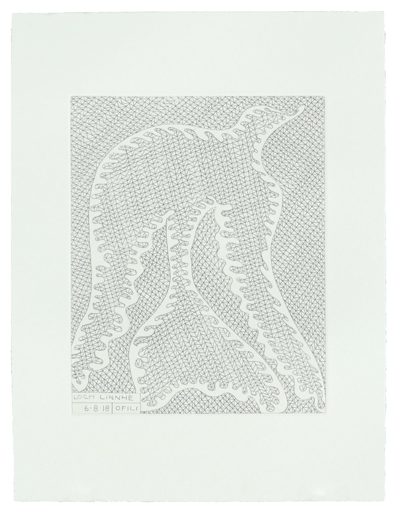 Lochs (Loch Linnhe),&amp;nbsp;2018
Suite of 10 etchings with title page and colophon in a portfolio box
15&amp;nbsp;x 11 1/4 inches
Edition of 20