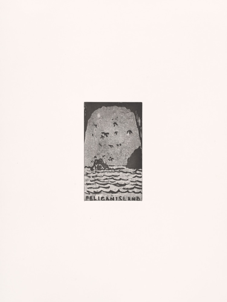 Peter Doig, Pelican Island (Fernandes), 2025