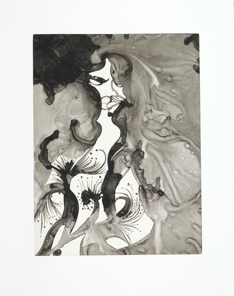 Black Kiss, 2006
Portfolio of 13 gravures with chine coll&amp;eacute;, title page, and colophon on Somerset paper handtorn to size in a cloth-covered box with silver stamping.
21 x 17 inches
Edition&amp;nbsp;of 20