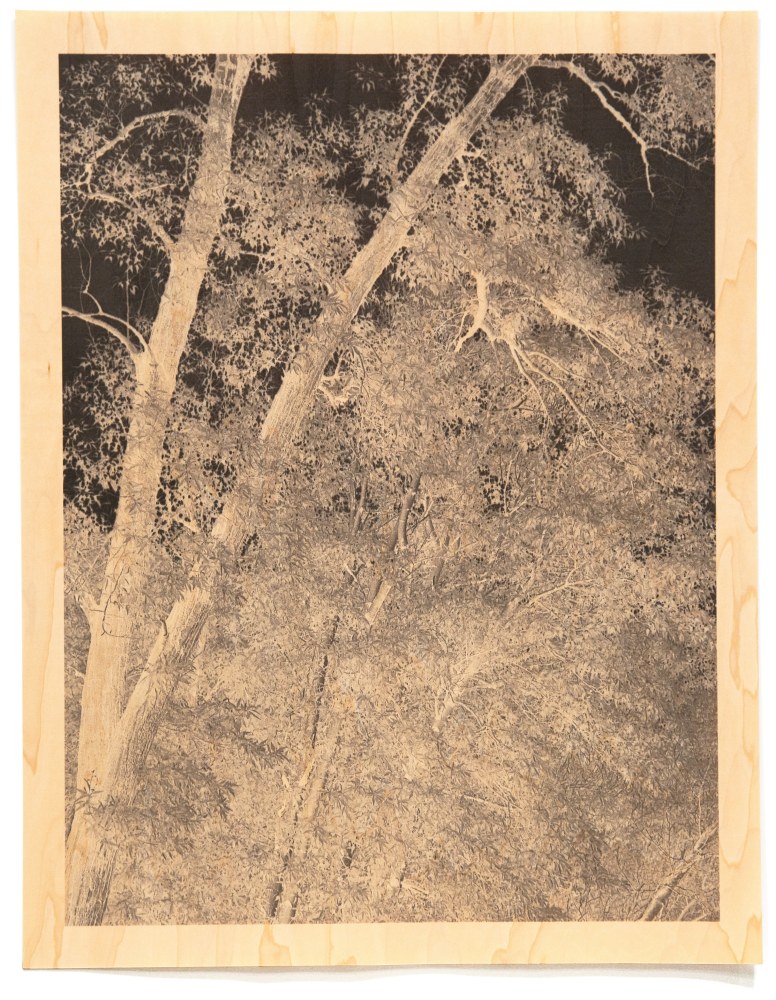 Trees I (Wood)

Archival Pigment Print on Wood Veneer 31 x 25&amp;quot; (frame) 2010
