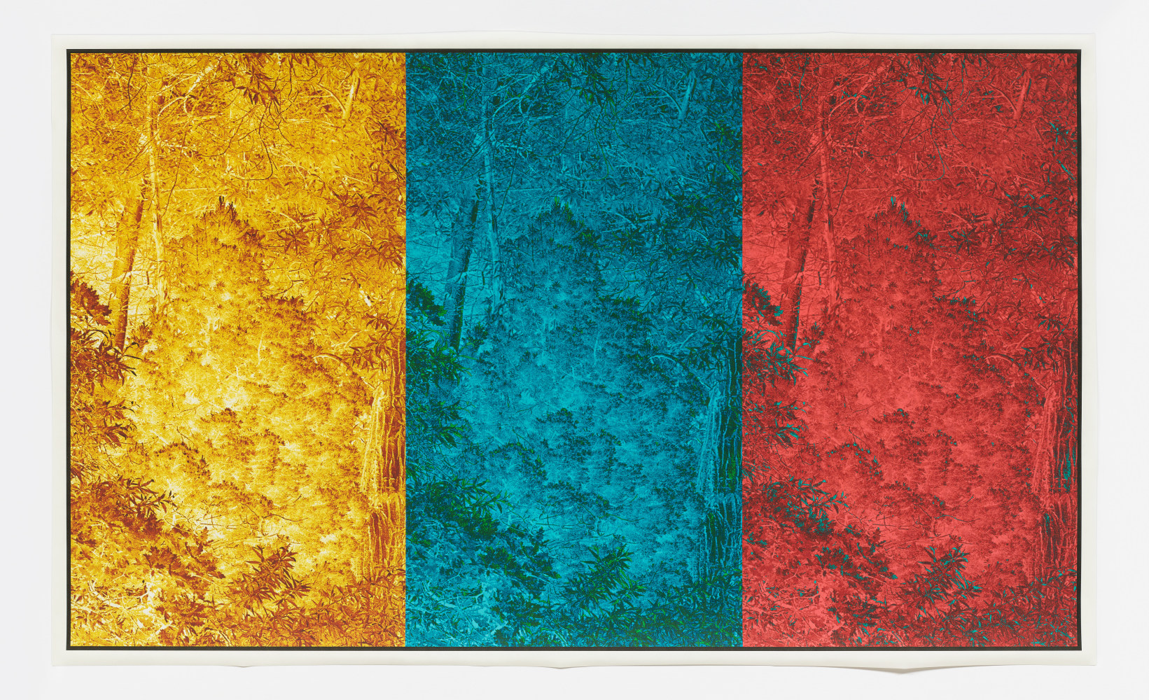 Harmonium Flag

Archival Pigment Print 41&amp;nbsp;x 28&amp;quot; (frame) 2008