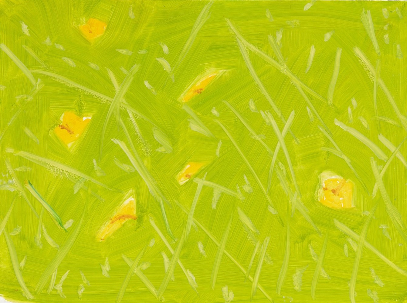 Alex Katz

Yellow Buttercups, 2021

Oil on board

12 x 16 inches (30.5 x 40.6 cm)

(AK21-02)