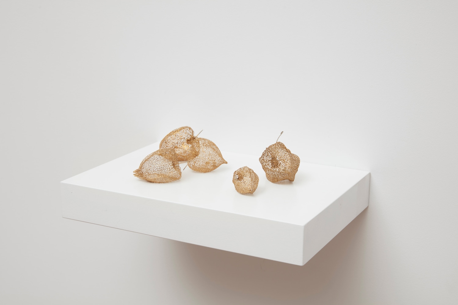 Su-Mei Tse
A Whole Universe (Physalis), 2019
5 gilded dried husks of physalis fruits, wooden shelf
10 3/8 x 7 1/4 x 1 5/8 inches (26.5 x 18.5 x 4.2 cm)