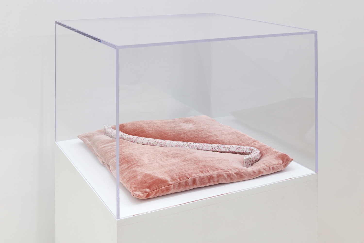 Nicholas Galanin

Eye opener (South), 2024

porcelain crowbar with pillow and vitrine

porcelain crowbar: 1 1/2 x 22 1/4 x 7 1/2 inches (3.8 x 56.5 x 19.1 cm)
vitrine: 55 3/4 x 26 x 26 inches (141.6 x 66 x 66 cm)
pillow: 21 1/2 x 21 1/2 x 2 inches (54.6 x 54.6 x 5 cm)

(NGA24-17)