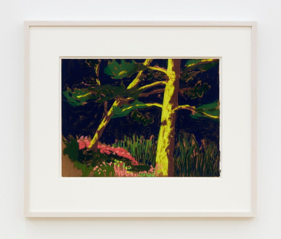 Nicole Wittenberg

Midsummer Morning, 2023

Pastel on paper

11 1/2 x 15 1/2 inches (29.2 x 39.4 cm)

(NW23-01)