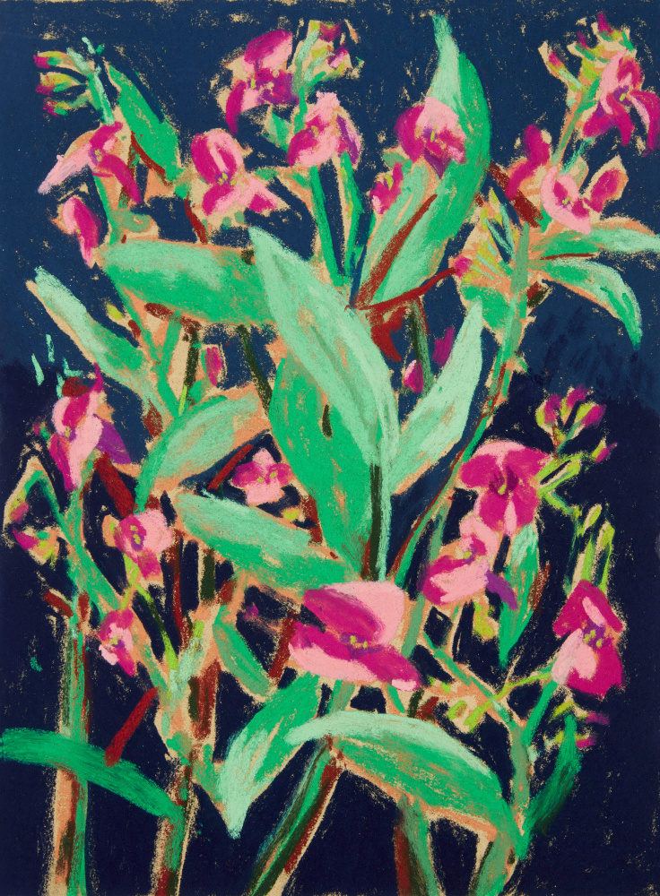 Nicole Wittenberg

Himalayan Balsam 8, 2023

Pastel on paper

15 1/2 x 11 1/2 inches (39.4 x 29.2 cm)

(NW23-07)