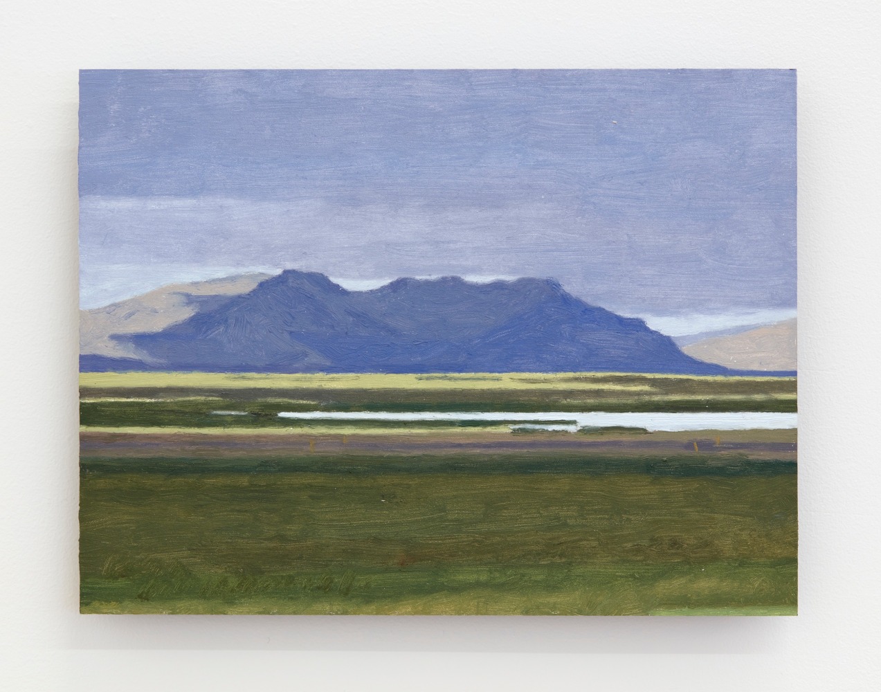 Eleanor Ray

Sn&amp;aelig;fellsnes, July, 2025

Oil on panel

6 1/2 x 8 1/2 inches (16.5 x 21.6 cm)

(ERA25-04)