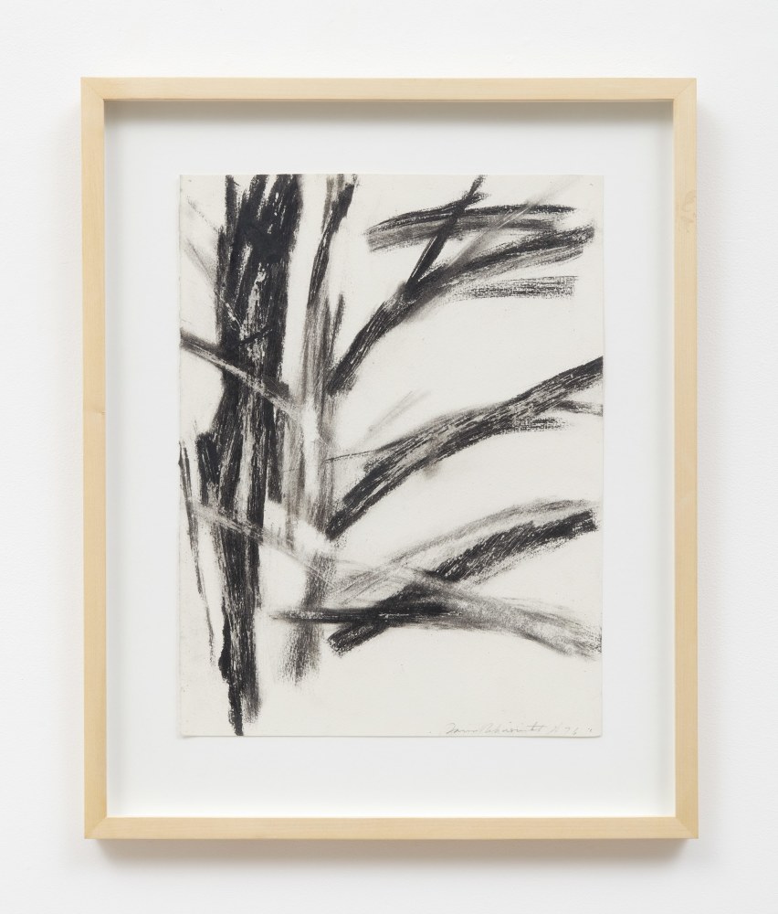 David Rabinowitch

Drawing after a Beech Tree in Central Park, 1976

Charcoal and beeswax on paper

21 x 17 inches (53.34 x 43.18 cm)

(DR76-14)