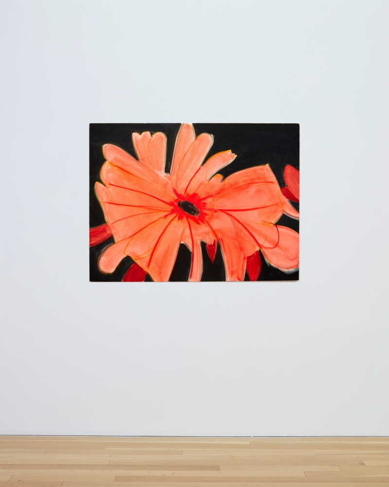 Alex Katz&amp;nbsp;
Orange Gerbera Daisy 2, 2022
oil on linen&amp;nbsp;
36 x 48 inches (91.4 x 121.9 cm)
(AK22-03)&amp;nbsp;